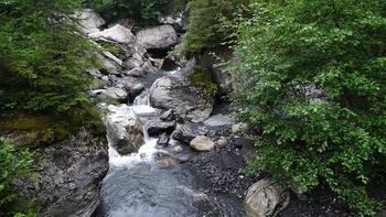 klarer Bach von der Großen Scheidegg kommend