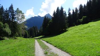 Wandern auf einem Wirtschaftsweg