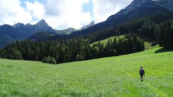 herrlicher Wiesenweg