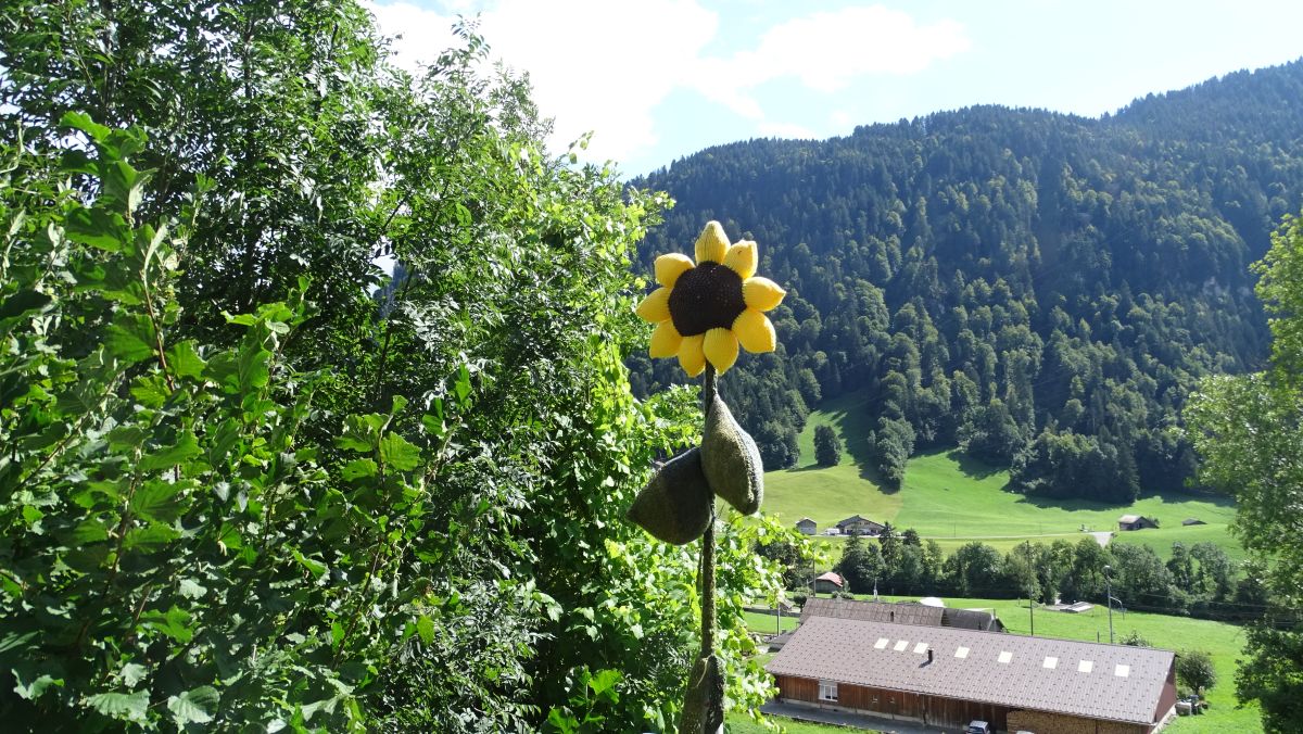 nach der Wanderung Abstecher nach Rossiniere, hier ist alles umhäkelt