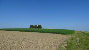 Blick zurück zum Wartturm