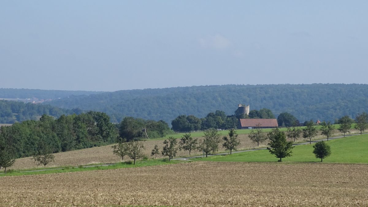 Burgfried der Burgruine Neuhaus