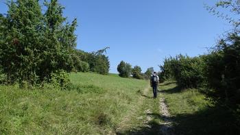 Wacholderheide