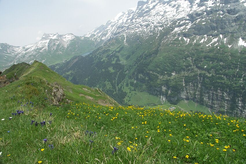 Aufstieg zum Balmerhornegg