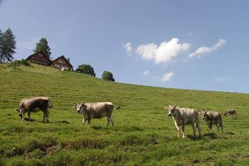 Bodensee und Schweiz 19.06.08