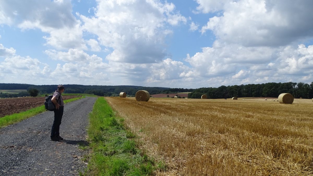 Weg zum Krappenhof