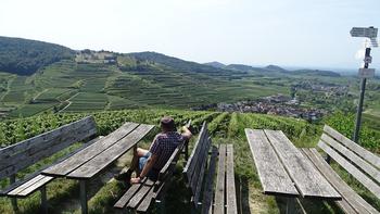 Runde um den Kaiserstuhl