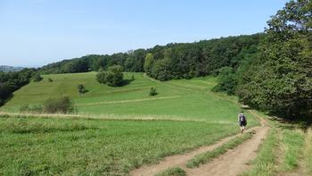 trockene Wiesenwege