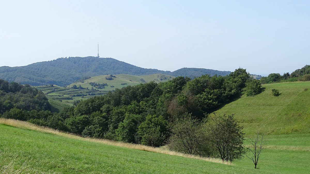 der höchste Berg des Kaiserstuhl- der Totenkopf