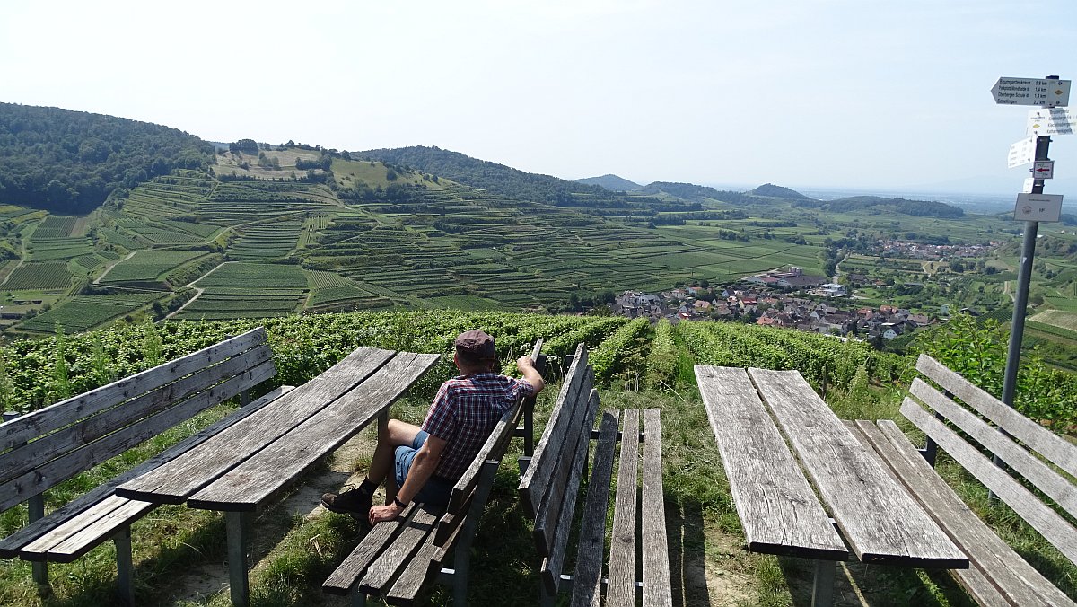 Rast mit Blick auf die Weinberge