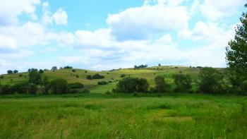 Wiesenlandschaft