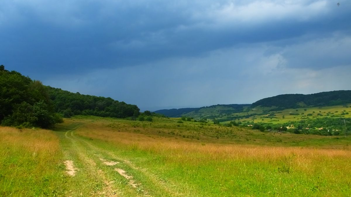 Herrliche Wege, es geht zurück nach Schäßburg