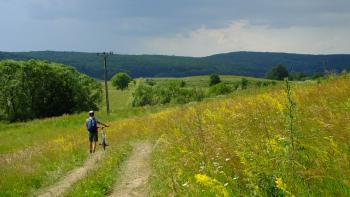 zurück nach Schäßburg