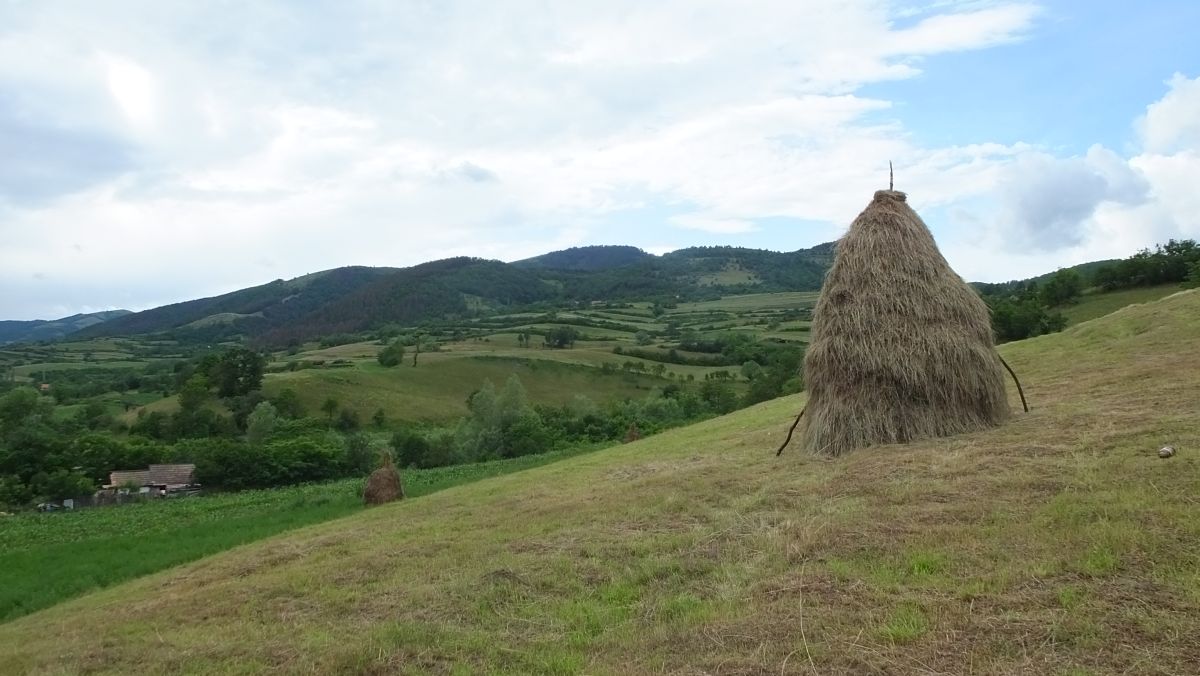 Ampoița 