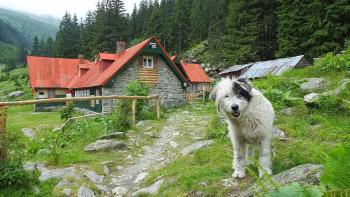 27.06.2014 Wanderung im Făgăraș