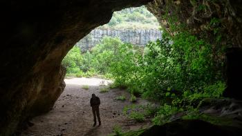 Fledermaushöhle