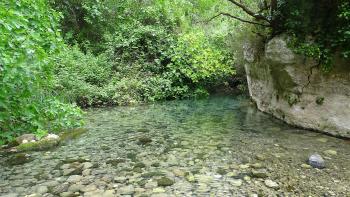 Torrente Calcinara