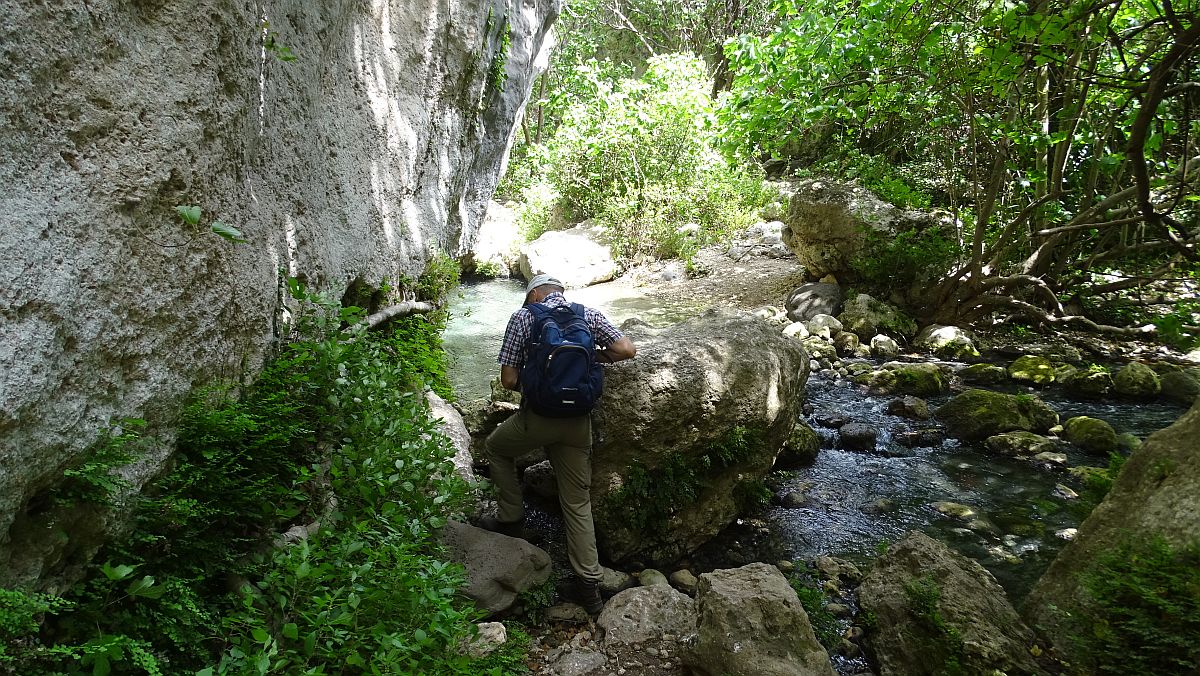 Torrente Calcinara