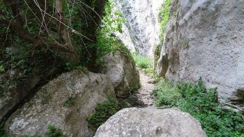 Weg in der Schlucht