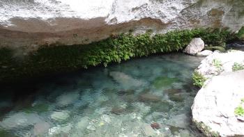 glasklar Torrente Calcinara