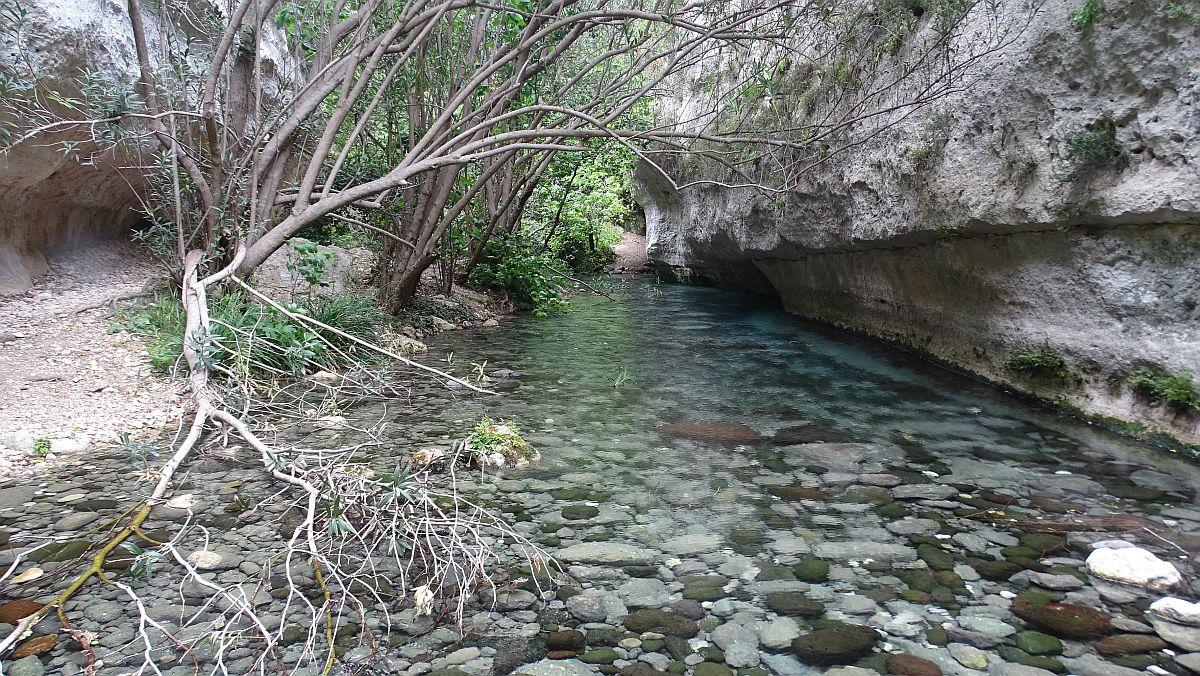 glasklar Torrente Calcinara