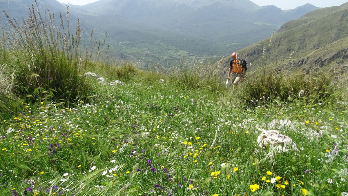 weiterer Aufstieg über steile Wiesenhänge