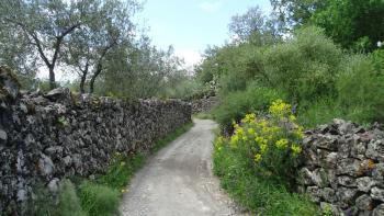 wir wandern auf Wirtschaftswegen