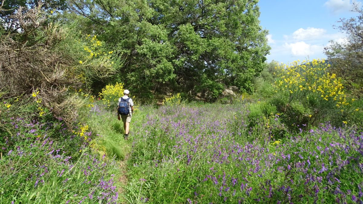 so macht Wandern Spaß