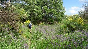 so macht Wandern Spaß