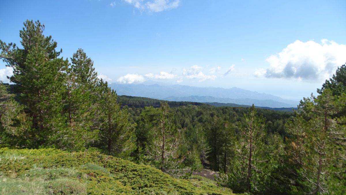 Blick Richtung Taormina