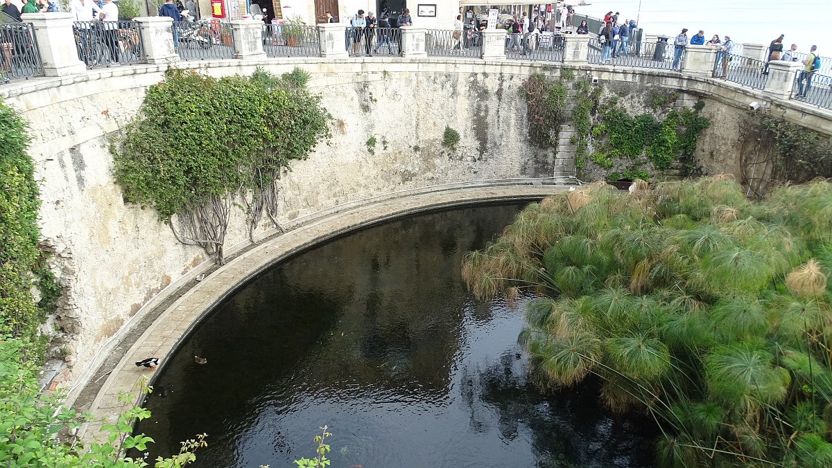 Fonte Aretusa, eine Süßwasserquelle auf der Altstadtinsel