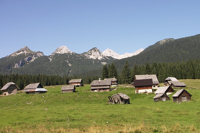 Alm mit Holzhütten