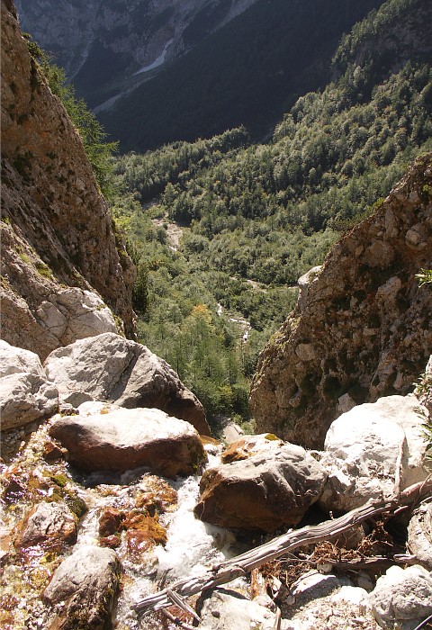 Wasserfällchen von oben