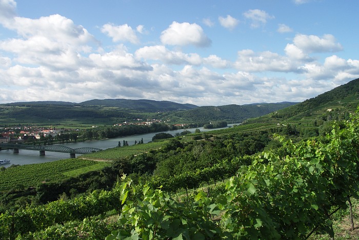 Weinberge der Wachau