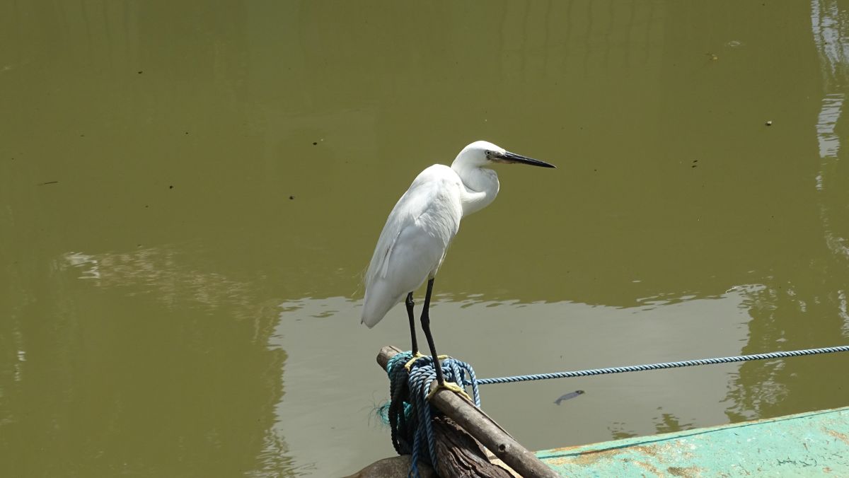 Am Hamilton-Kanal