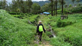 weiter runter Richtuing Haputale (noch 10 km)