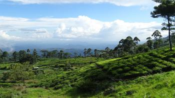 Blick ins Flachland