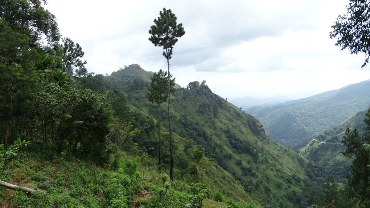 Blick zum Little Adams Peak