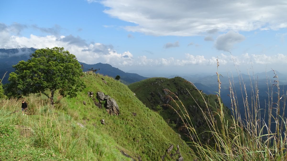 Blick vom Gipfel des Little Adams Peak