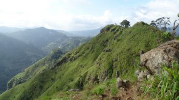 Blick hinüber zum Little Adams Peak