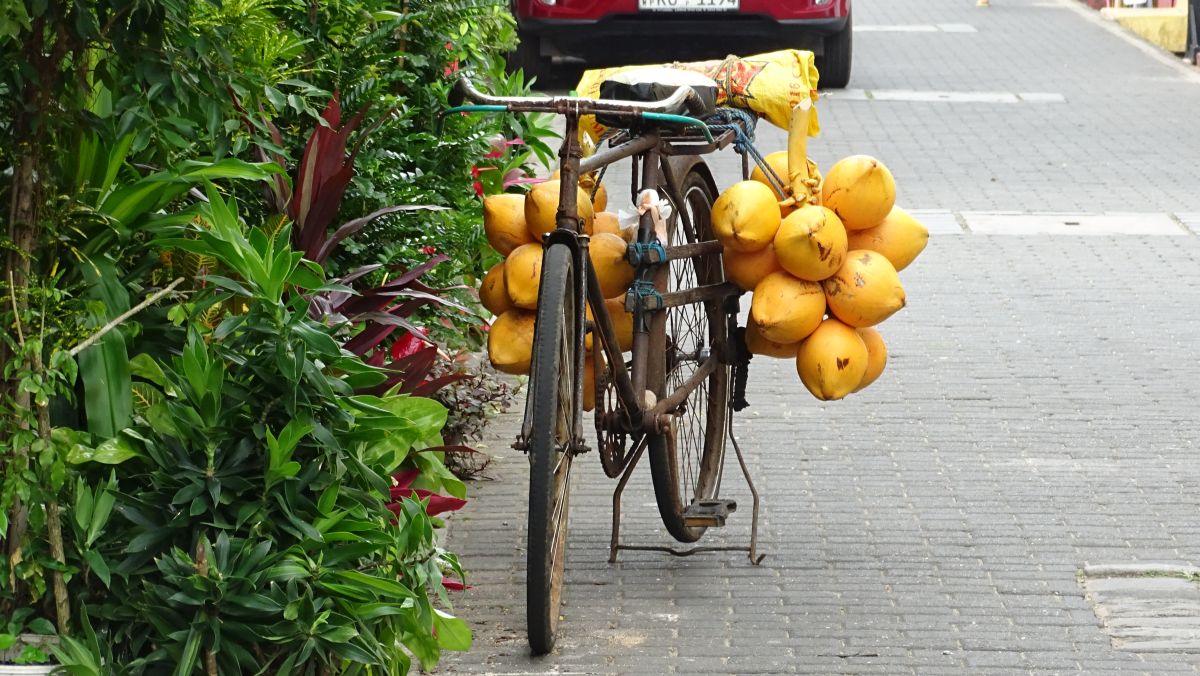 Kokosnussverkäuferfahrrad