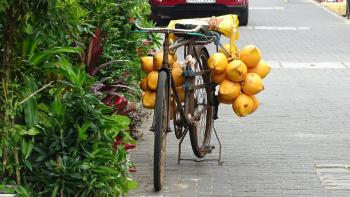 Kokosnussverkäuferfahrrad