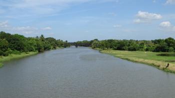 Flusslandschaft