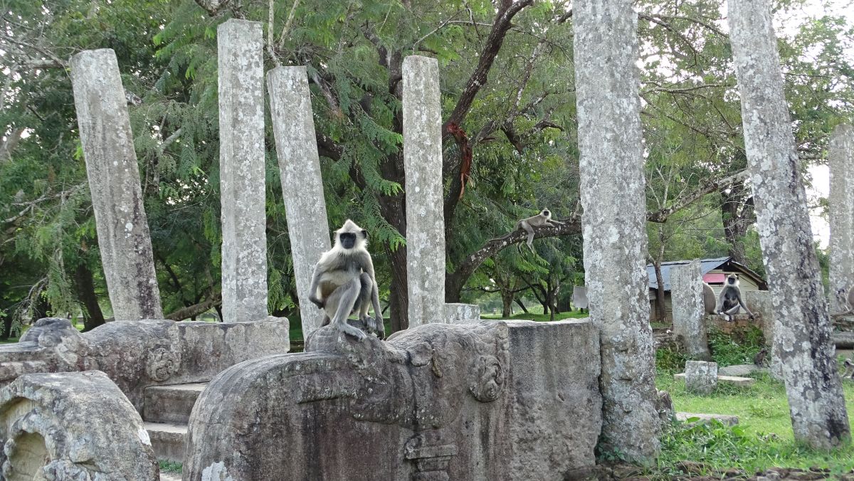 Anuradhapura