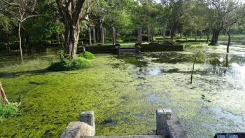 Anuradhapura überflutete Tempel