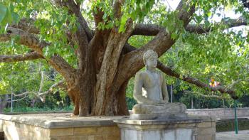 Buddha mit Meditationsgeste