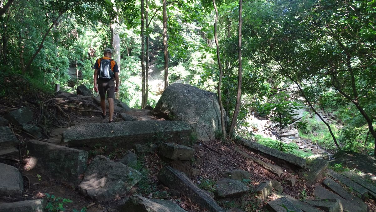 Tempelreste im Urwald verstreut