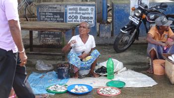 Auf dem Fischmarkt Negombo