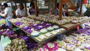 Blumenverkäufer vorm Zahntempel
