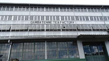 Dambatenne-Teefabrik